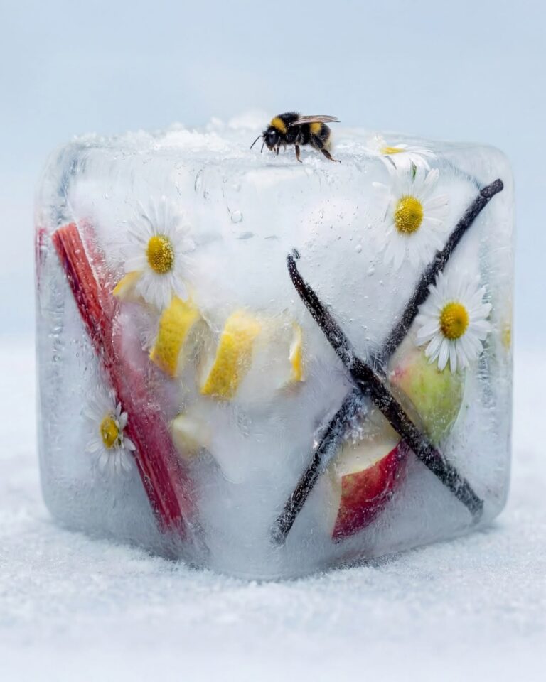 Every winter melts eventually.
And when it does, it tastes like..? ☀️🍋
#Lowcaly #Zerosugar