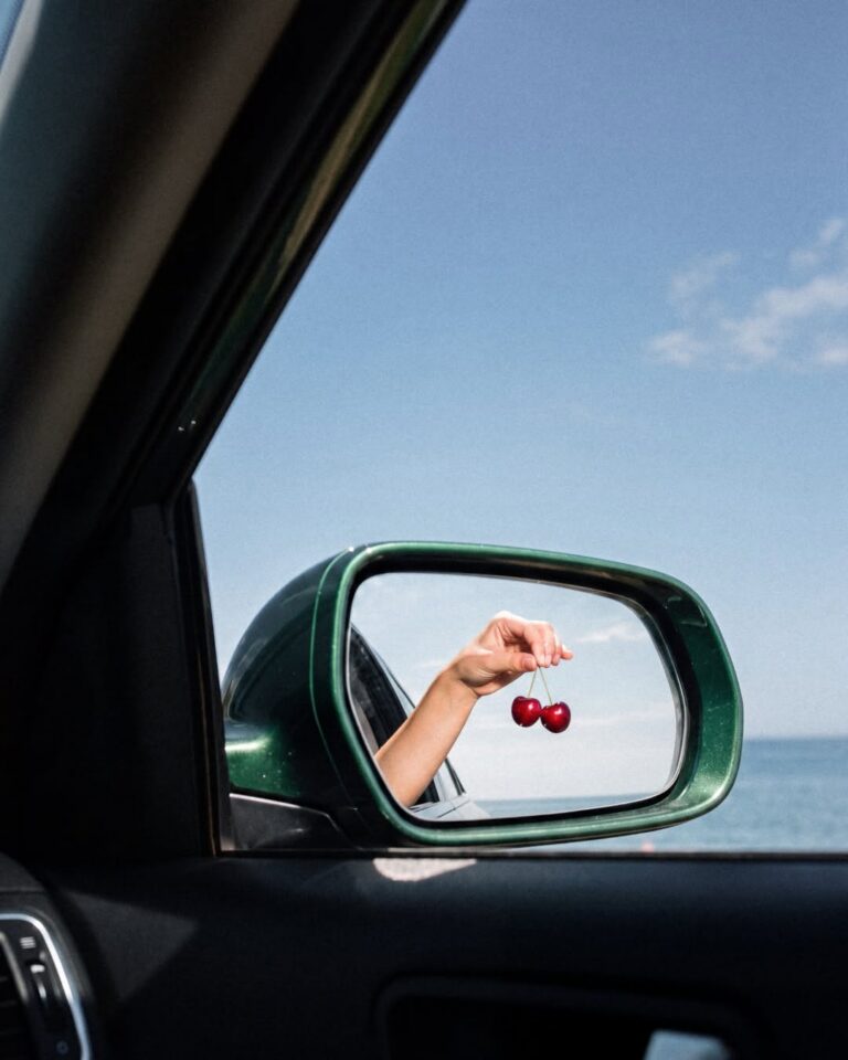 Cherry rides shotgun. Berry does what Berry wants. 🫐🍒

#Lowcaly #Zerosugar